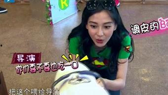 娱乐吃瓜酱笑声视频播放